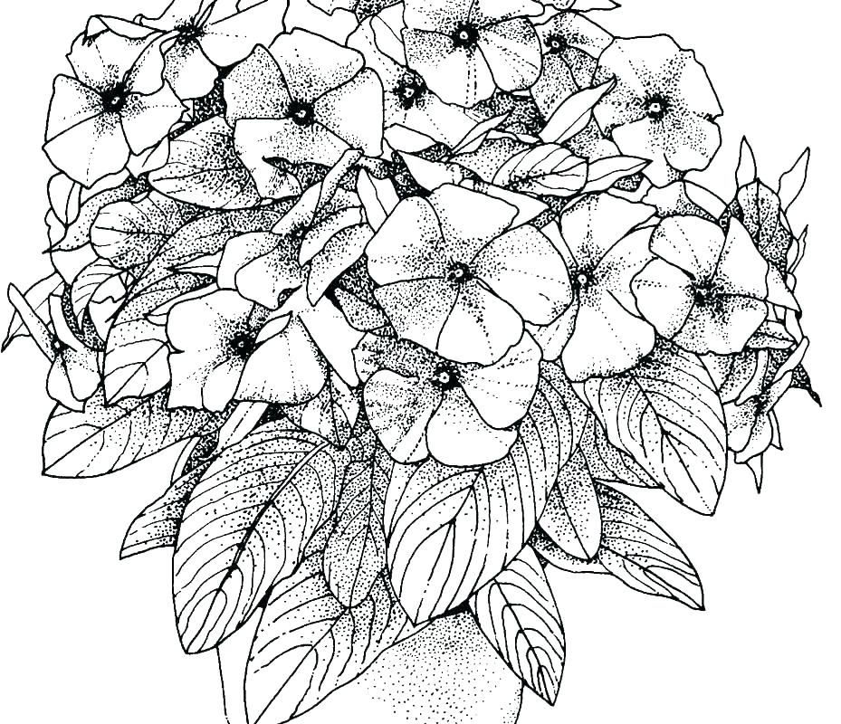 929x800 Coloring Pages For Girls Flowers Free Flower Coloring Pages Hard