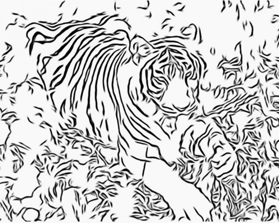 Printable Hard Coloring Pages Hard Halloween Coloring Pages 170168 940x752 Printable Hard Coloring Pages Hard Halloween Coloring Pages 170168