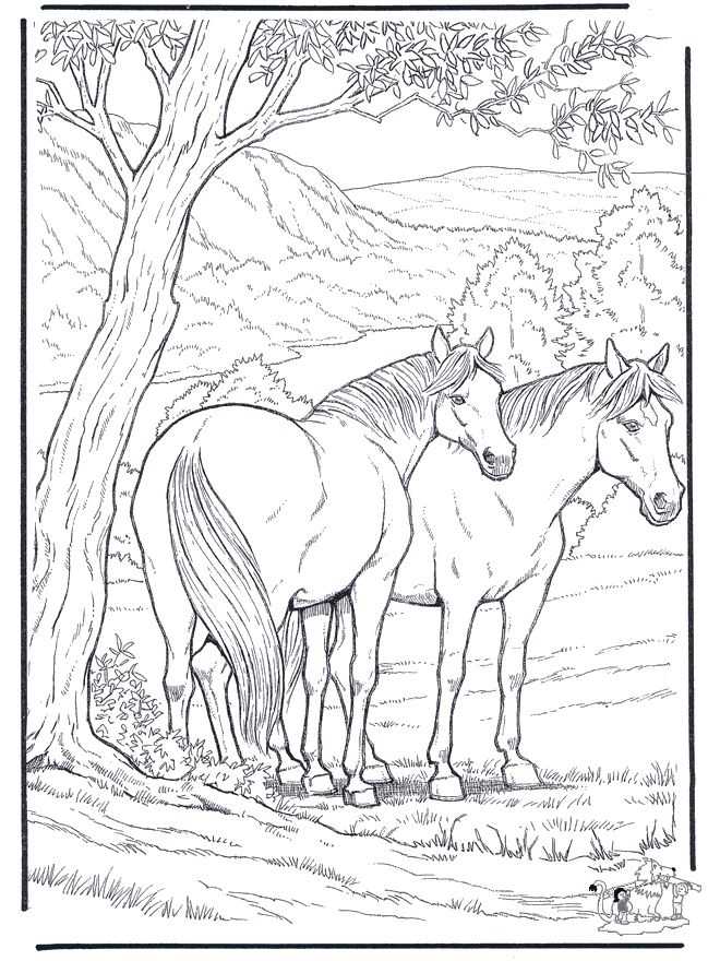 Coloring Pages Of Horses Hard Best 25 Horse Coloring Pages Ideas 660x880 Coloring Pages Of Horses Hard Best 25 Horse Coloring Pages Ideas