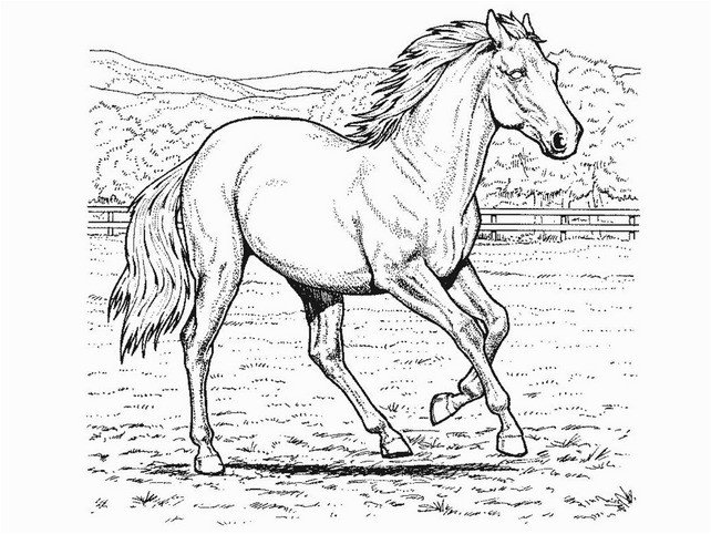 Hard Horse Coloring Pages 642x482 Hard Horse Coloring Pages