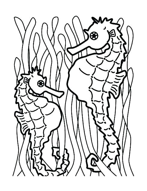 Sea Horse Coloring Pages Seahorse Coloring Pages Also Free 489x632 Sea Horse Coloring Pages Seahorse Coloring Pages Also Free