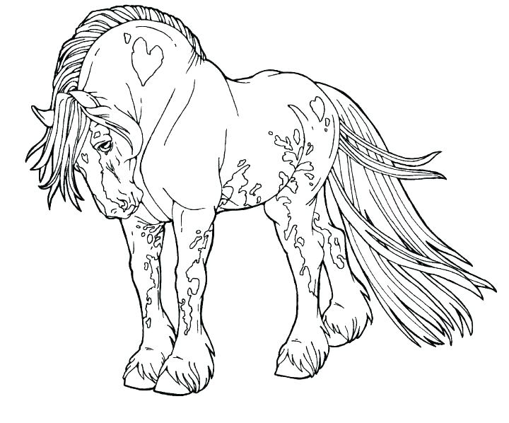 Coloring Beautiful Horse Coloring Pages For Adults The Wonderful 720x598 Coloring Beautiful Horse Coloring Pages For Adults The Wonderful