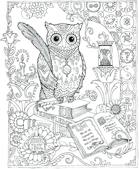 Owl Color Page Coloring Pages Owls Sheets Of Cute Free Hard 474x575 Owl Color Page Coloring Pages Owls Sheets Of Cute Free Hard