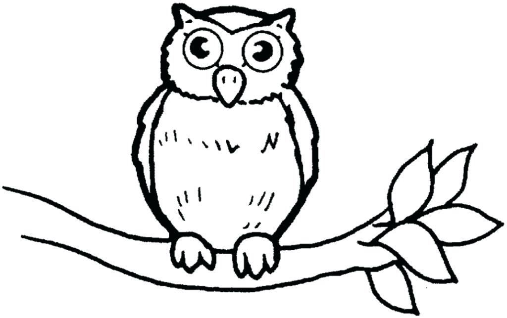 Owl Colouring Pages Limited Owl Color Sheets Coloring Of Owls 1024x643 Owl Colouring Pages Limited Owl Color Sheets Coloring Of Owls