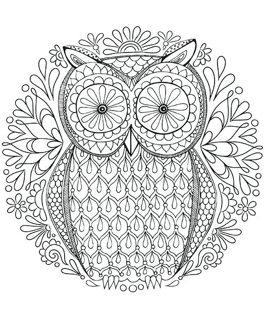 Owls Coloring Pages Coloring Page Owl Difficult Owl Coloring Pages 525x618 Owls Coloring Pages Coloring Page Owl Difficult Owl Coloring Pages
