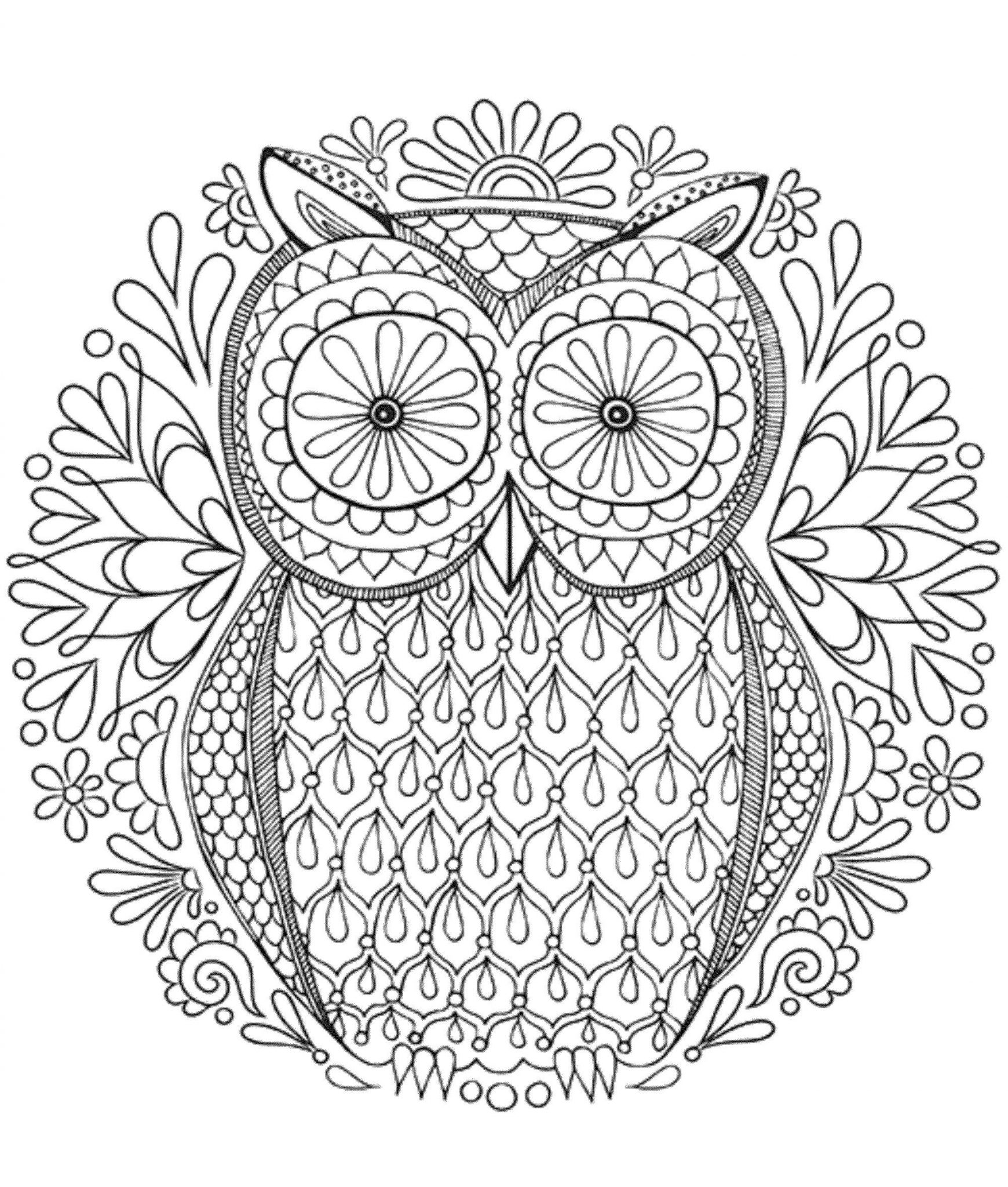 Owl Coloring Pages For Adults Hard 1740x2048 Owl Coloring Pages For Adults Hard