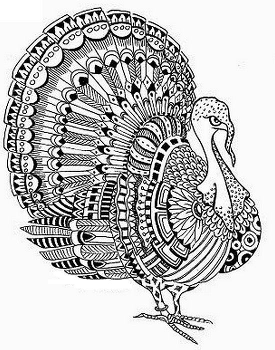550x700 Turkey