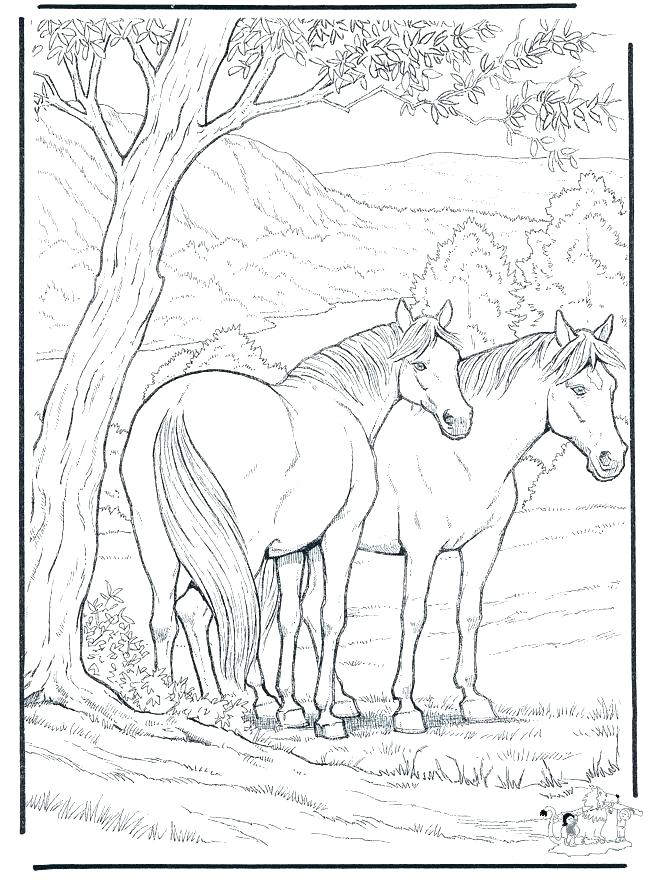 Hard Animal Coloring Pages Hard Unicorn Coloring Pages Coloring 660x880 Hard Animal Coloring Pages Hard Unicorn Coloring Pages Coloring