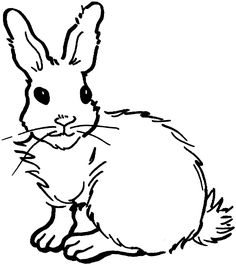 Bunny Coloring Pages Rabbit, Bunny And Embroidery 236x265 Bunny Coloring Pages Rabbit, Bunny And Embroidery