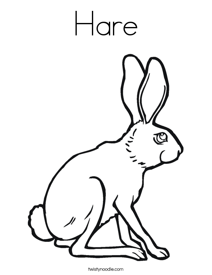 Hare Coloring Page 685x886 Hare Coloring Page