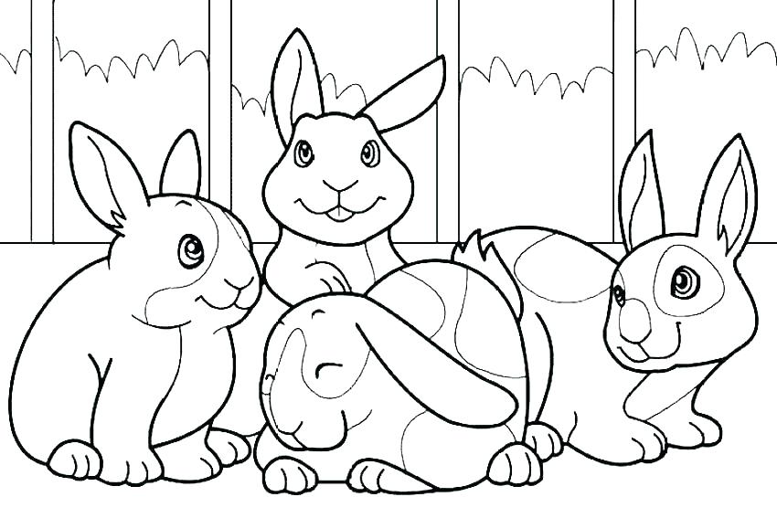 Peter Rabbit Color Pages Print Peter Rabbit Lily Coloring Pages 850x567 Peter Rabbit Color Pages Print Peter Rabbit Lily Coloring Pages