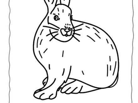 Arctic Hare Coloring Page Az Coloring Pages, Arctic Hare Coloring 440x330 Arctic Hare Coloring Page Az Coloring Pages, Arctic Hare Coloring