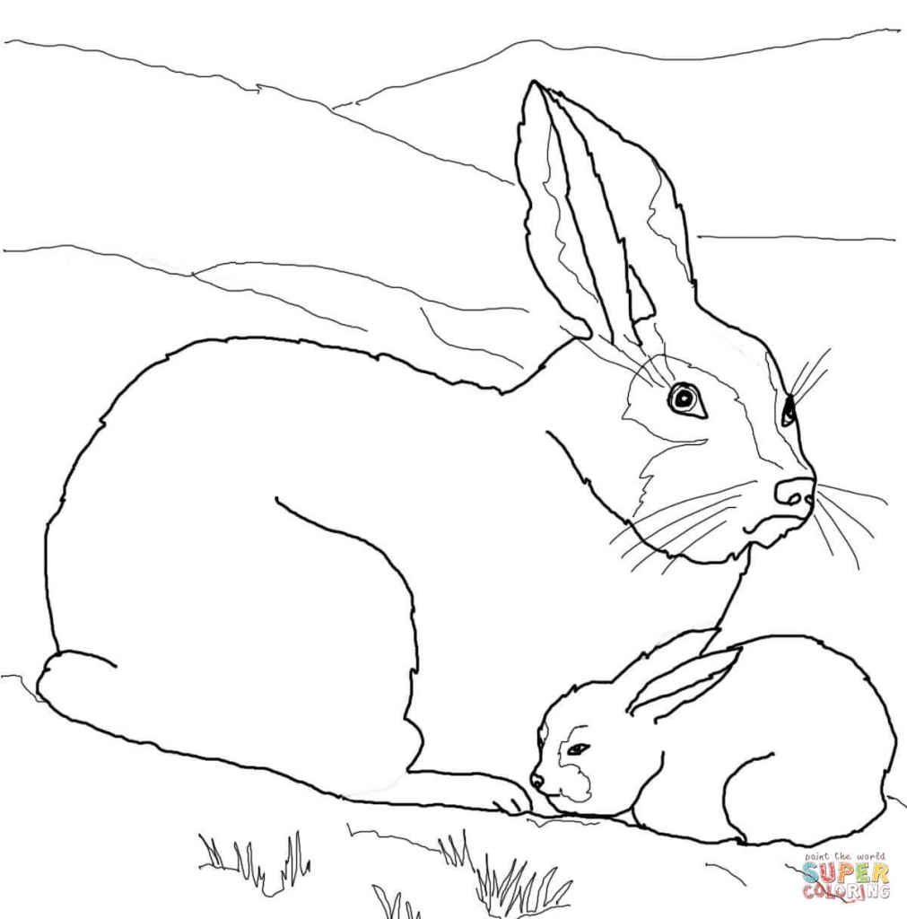 Arctic Hare Coloring Pages Printable Coloring For Kids 2018 1011x1024 Arctic Hare Coloring Pages Printable Coloring For Kids 2018