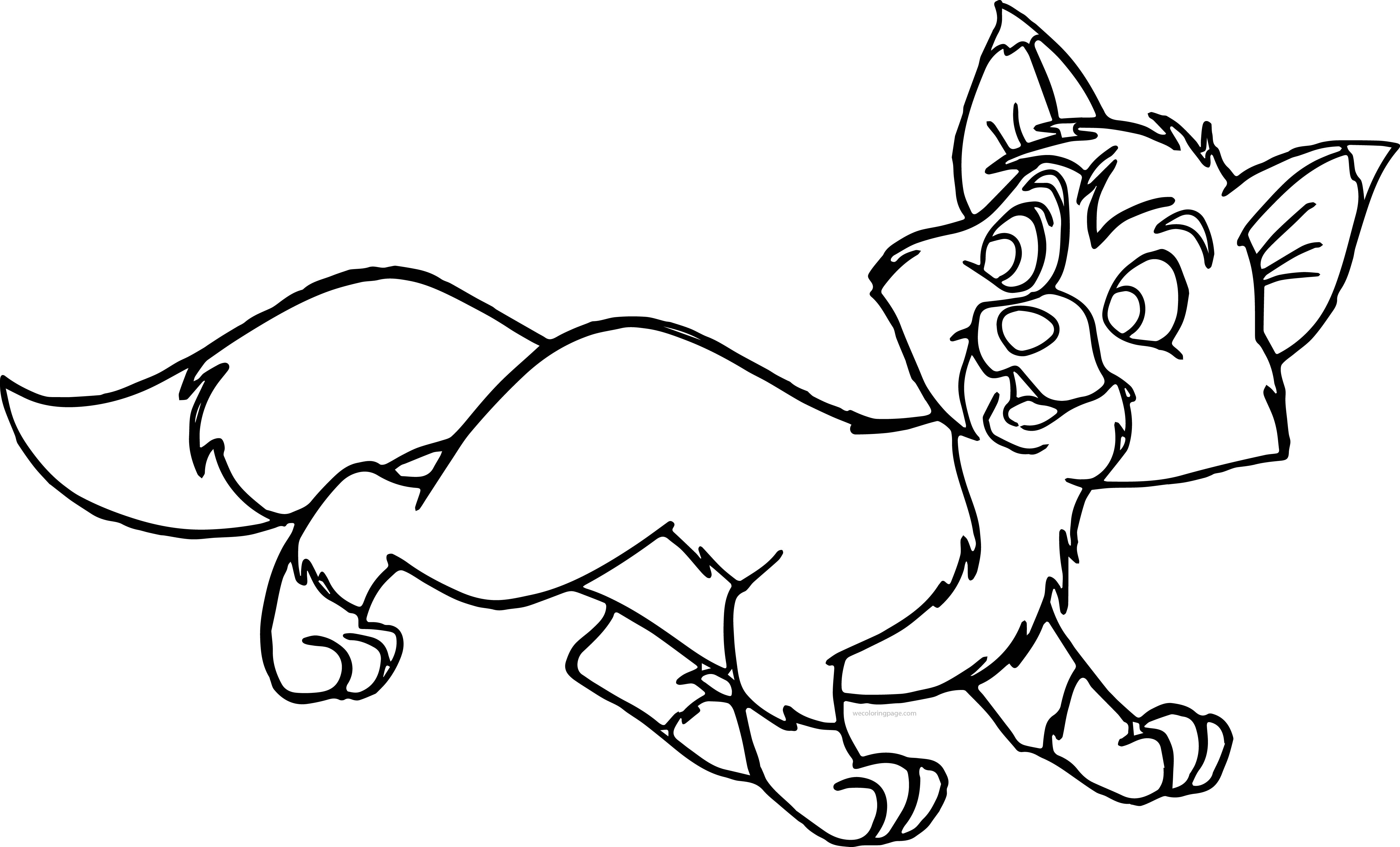 Fox Coloring Pages 4825x2918 Fox Coloring Pages
