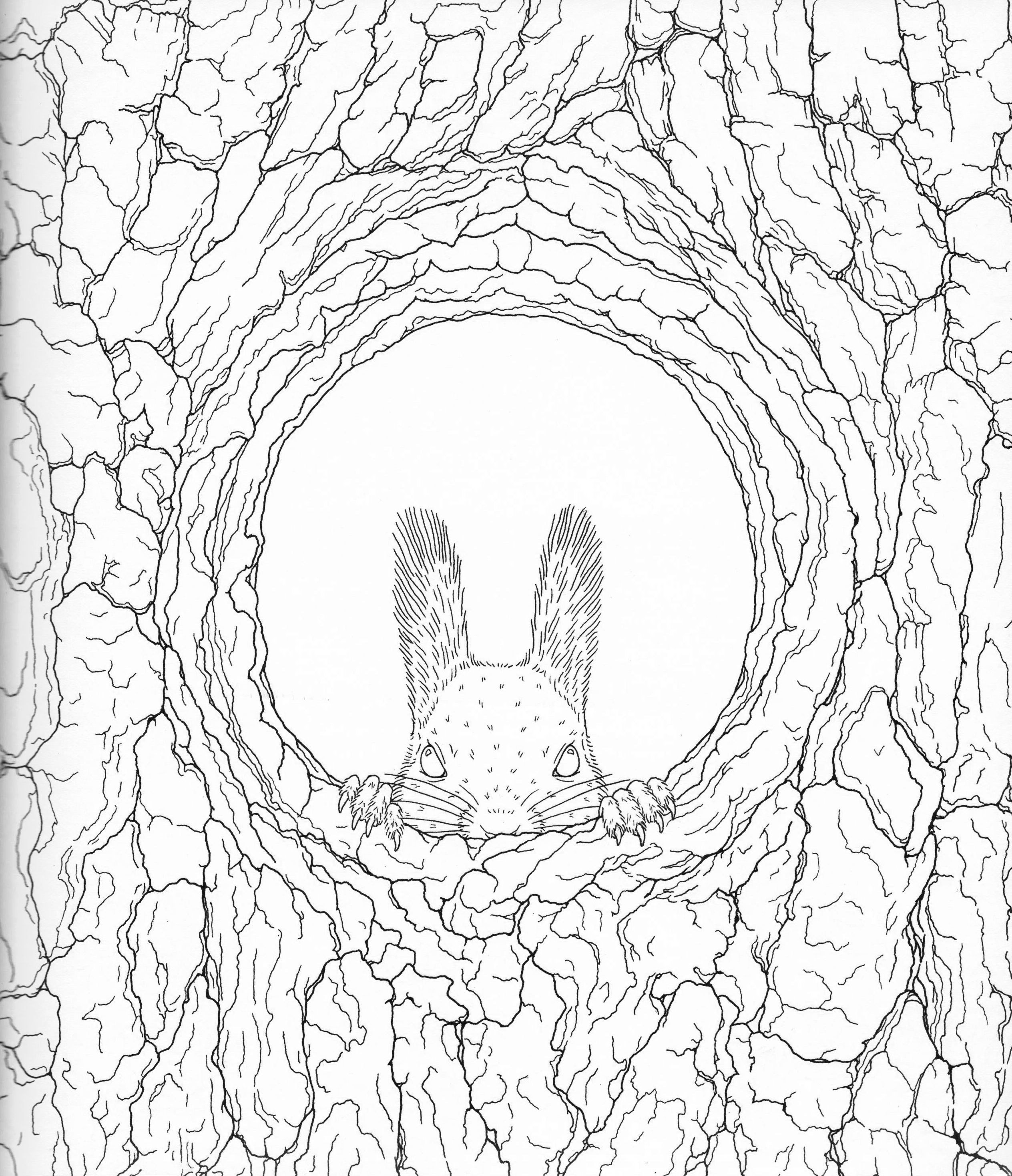 Harmony Of Nature Adult Coloring Book Pg 18 Color Pages 2528x2937 Harmony Of Nature Adult Coloring Book Pg 18 Color Pages