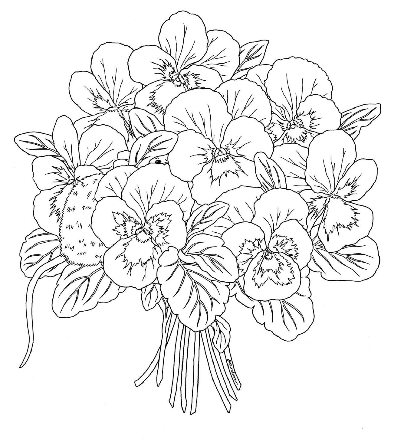 Harmony Of Nature Newspaper And Digital 1335x1461 Harmony Of Nature Newspaper And Digital