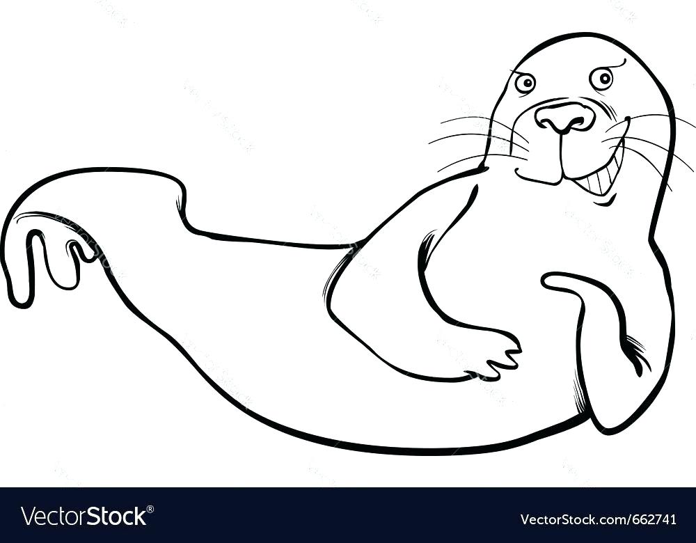 Harp Coloring Page Seal Coloring Page Funny Seal Coloring Page 1000x780 Harp Coloring Page Seal Coloring Page Funny Seal Coloring Page