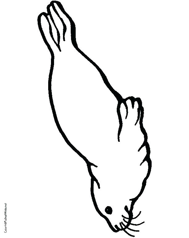 Seal Coloring Pages Seal Coloring Pages Seal Coloring Pages 612x769 Seal Coloring Pages Seal Coloring Pages Seal Coloring Pages
