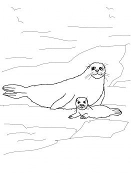 Harp Seal Mother And Baby Coloring Page Super Coloring Zodius 262x350 Harp Seal Mother And Baby Coloring Page Super Coloring Zodius