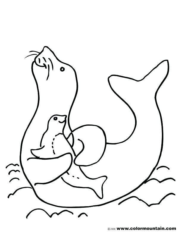 Seal Coloring Page Seal Coloring Page Pretty Seal Coloring Pages 615x784 Seal Coloring Page Seal Coloring Page Pretty Seal Coloring Pages