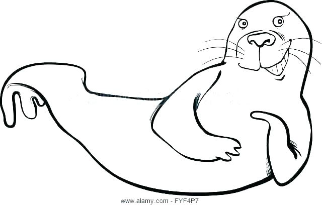 Seal Coloring Pages Baby Harp Seal Ng Pages Arctic Animals Fresh 640x410 Seal Coloring Pages Baby Harp Seal Ng Pages Arctic Animals Fresh