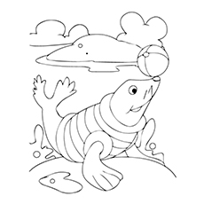 Top 10 Free Printable Seal Coloring Pages For Toddlers 230x230 Top 10 Free Printable Seal Coloring Pages For Toddlers