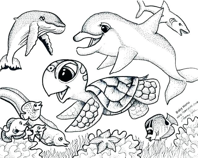 Baby Seal Coloring Pages Sea Urchin Coloring Page Otter Coloring 640x509 Baby Seal Coloring Pages Sea Urchin Coloring Page Otter Coloring