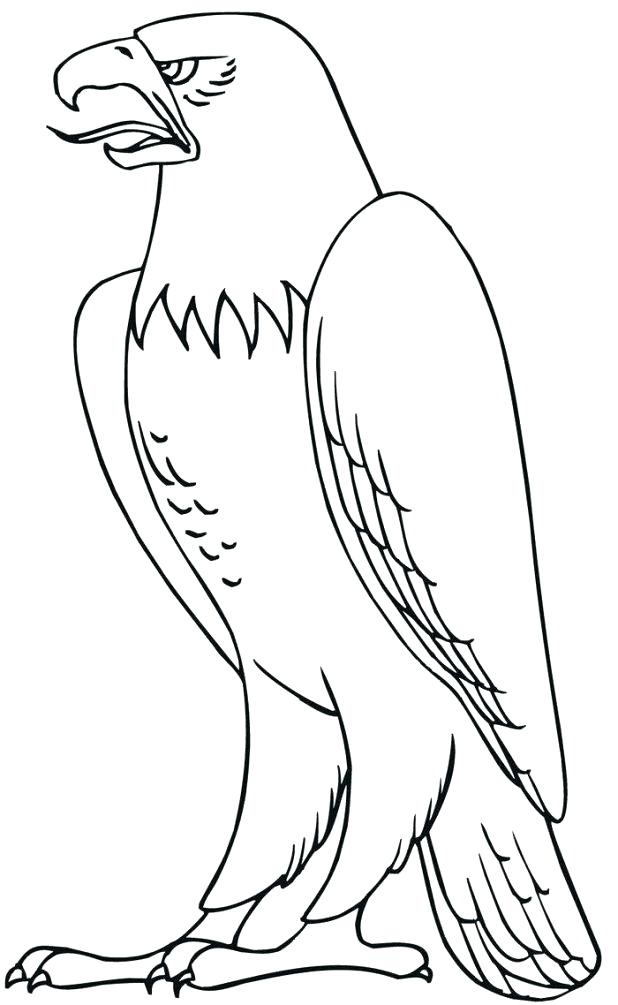 Harpy Eagle Coloring Page at GetColorings.com | Free printable