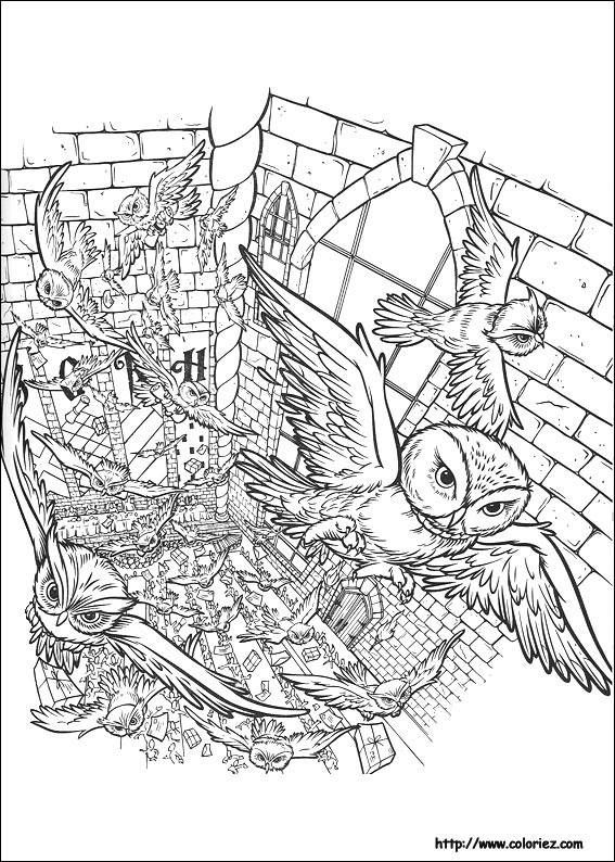 567x794 Pin By Lori Mardis On Random Remember Coloring Books