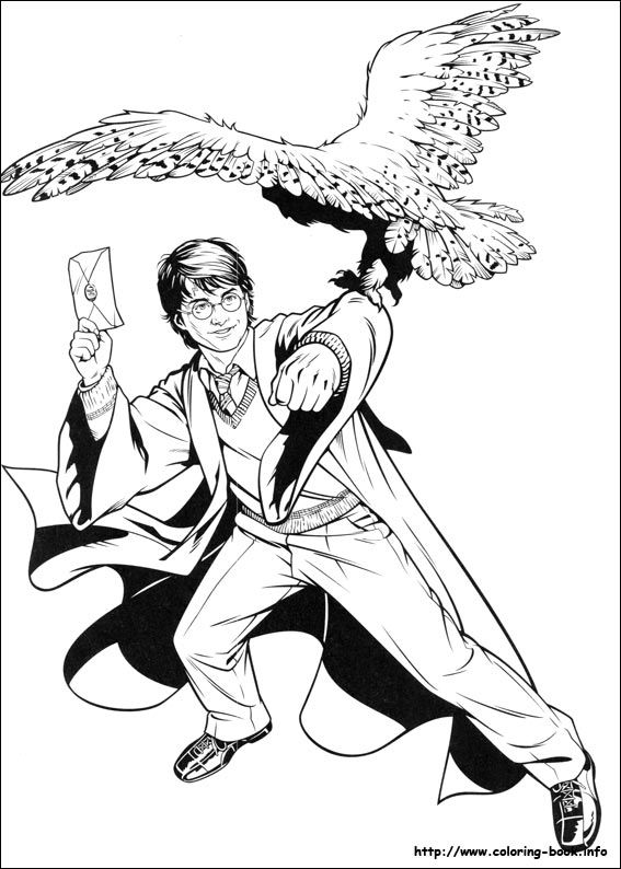 Harry Potter Coloring Pages On Coloring 567x794 Harry Potter Coloring Pages On Coloring