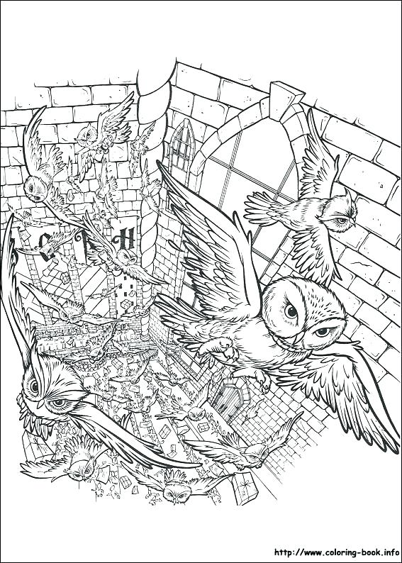 567x794 Harry Potter Coloring Pages Free Harry Potter Coloring Pages Harry