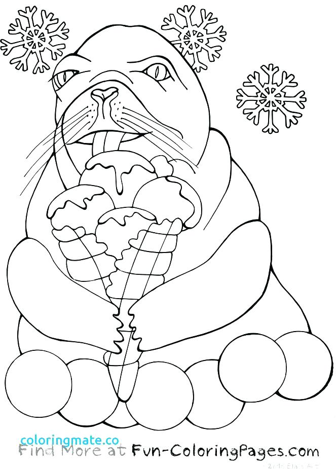 Otter Coloring Page Otter Coloring Pages Lovely Baby Otter Otter 663x925 Otter Coloring Page Otter Coloring Pages Lovely Baby Otter Otter