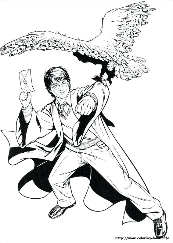 567x794 Harry Potter Coloring Pages To Print Crest Coloring Page Print