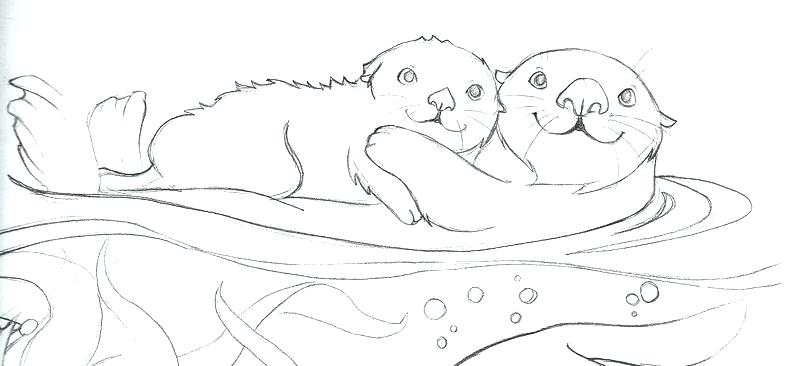 Otter Coloring Page River Otter Coloring Pages Harry Potter 800x366 Otter Coloring Page River Otter Coloring Pages Harry Potter