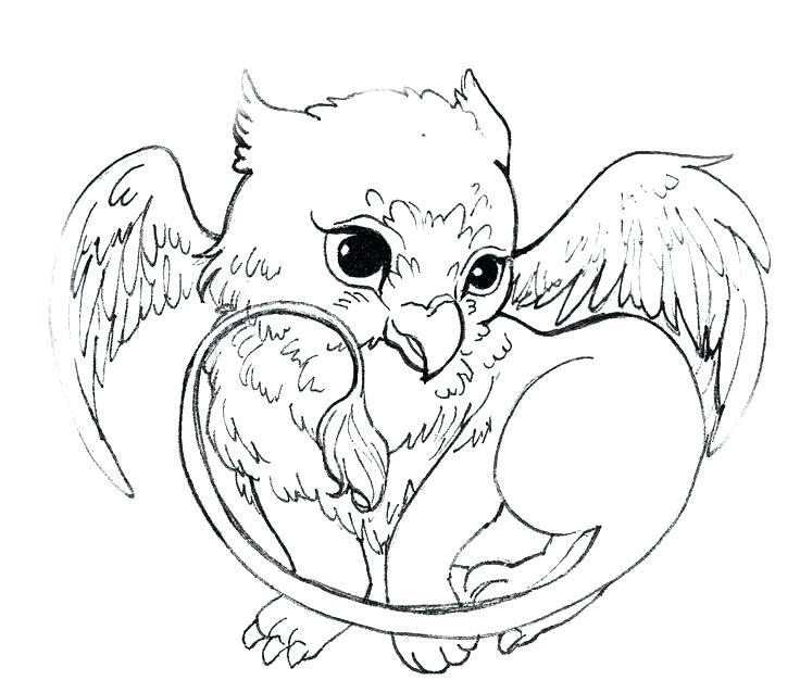 736x638 Google Images Coloring Pages Harry Potter Coloring Pages Google