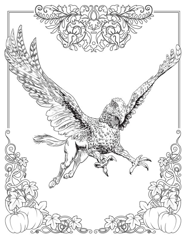 615x787 Harry Potter Adult Coloring Pages 441341