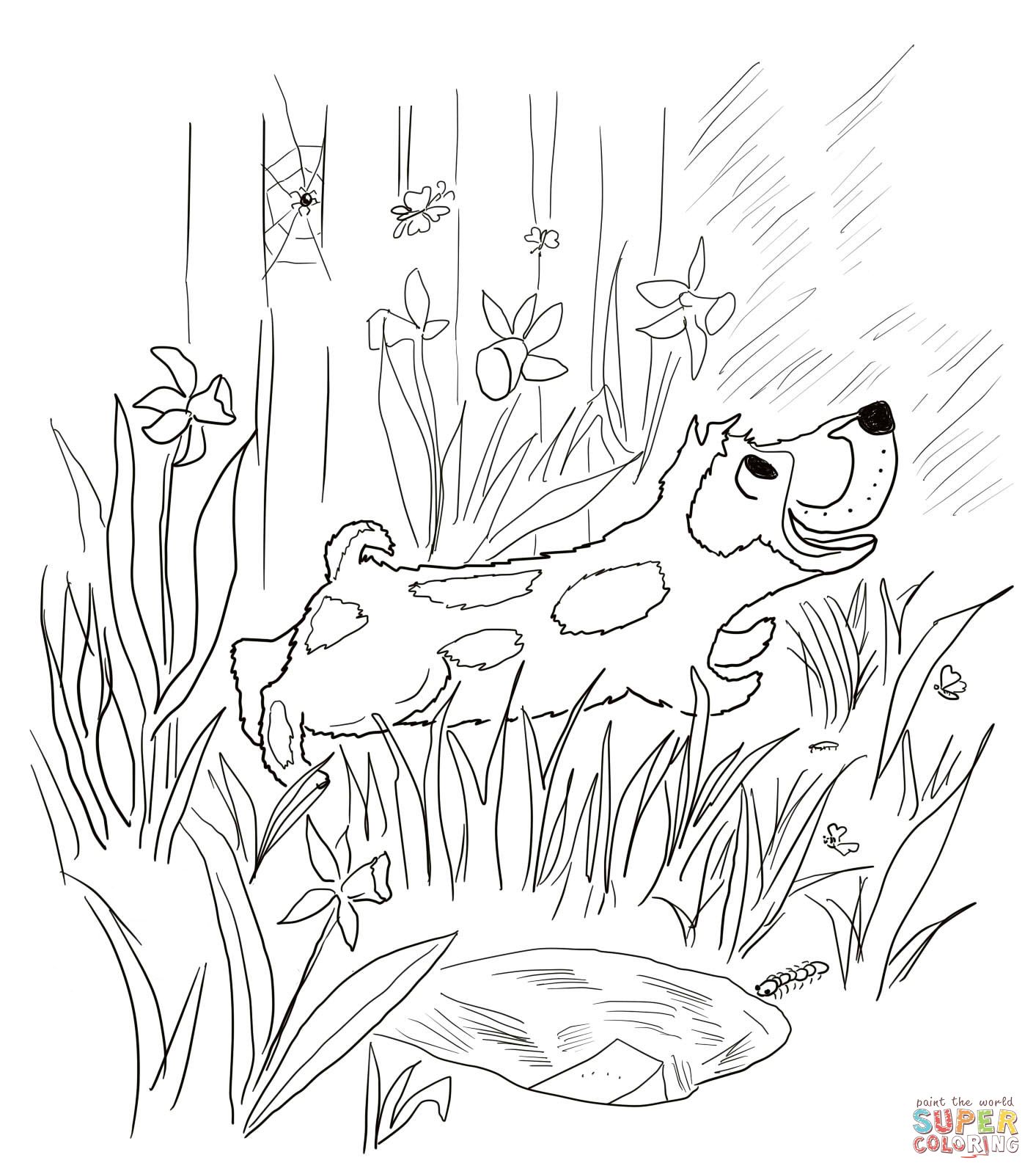 Harry The Dirty Dog Coloring Sheet For Kids Retelling And Story 1413x1600 Harry The Dirty Dog Coloring Sheet For Kids Retelling And Story