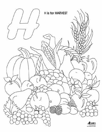 386x500 Harvest Colouring Pages Harvest Color Pages Commonpenceco Download