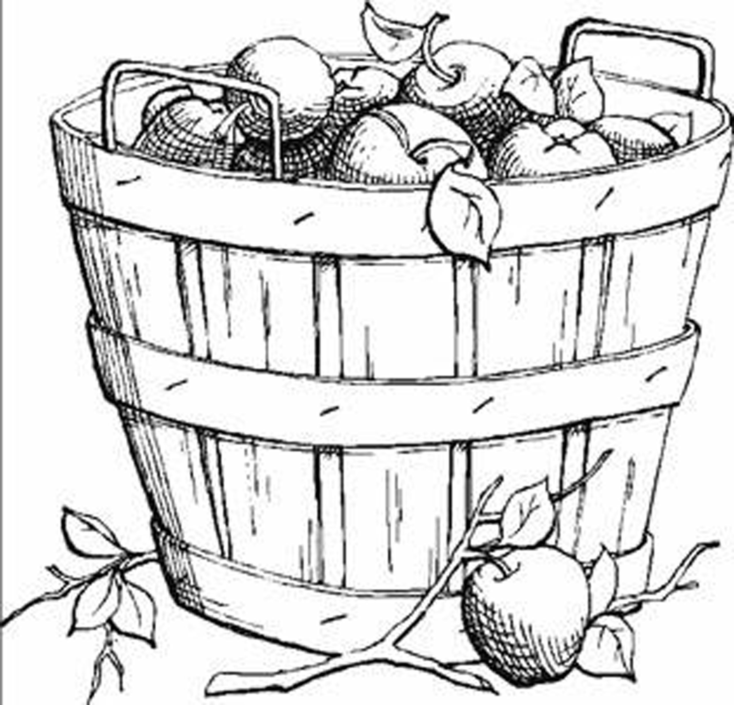 2550x2452 Harvest Fruits Fall Leaves Coloring Pages