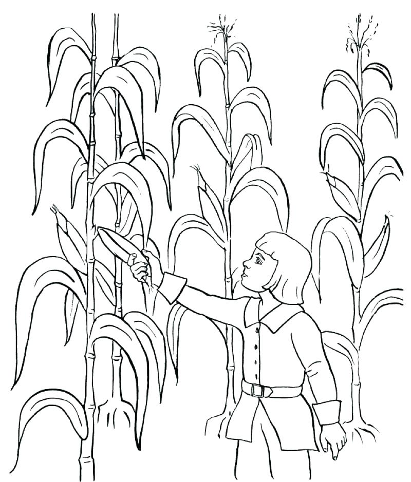 800x939 Fall Coloring Pages Pdf With Autumn Coloring Page Harvest Coloring