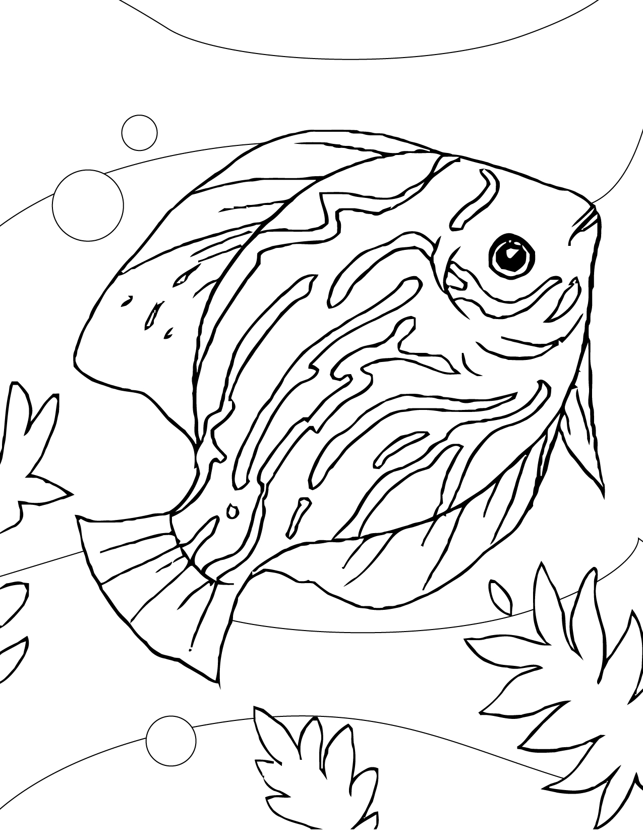 1275x1650 Discus Coloring Page