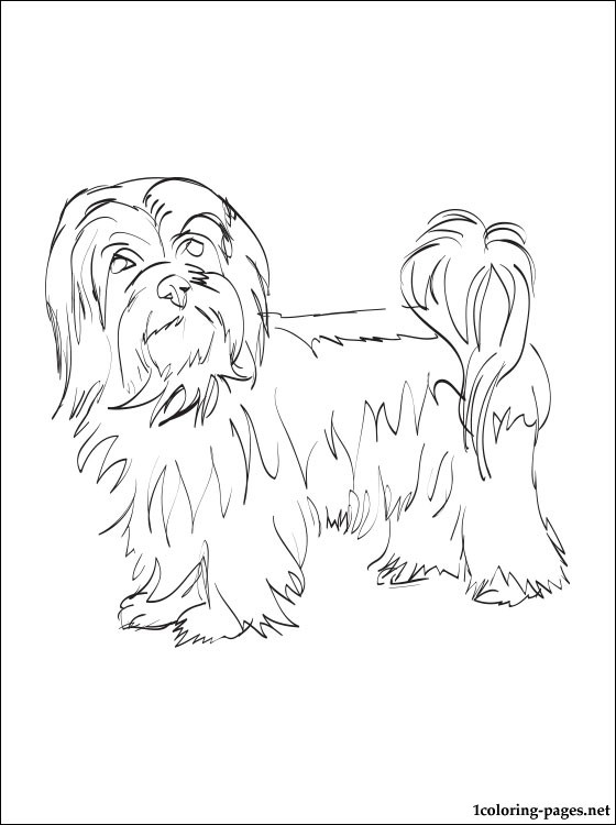 Havanese Coloring Page Coloring Pages 560x750 Havanese Coloring Page Coloring Pages