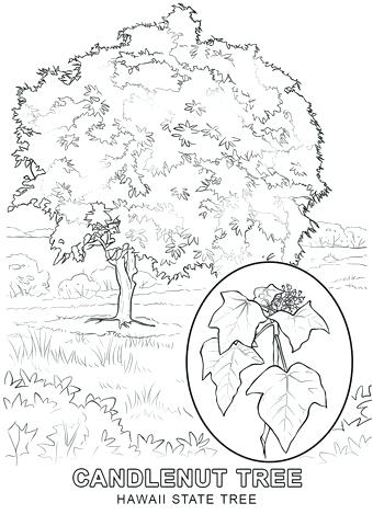Hawaii Coloring Pages Coloring Pages Concept Girl And Umbrella 340x480 Hawaii Coloring Pages Coloring Pages Concept Girl And Umbrella