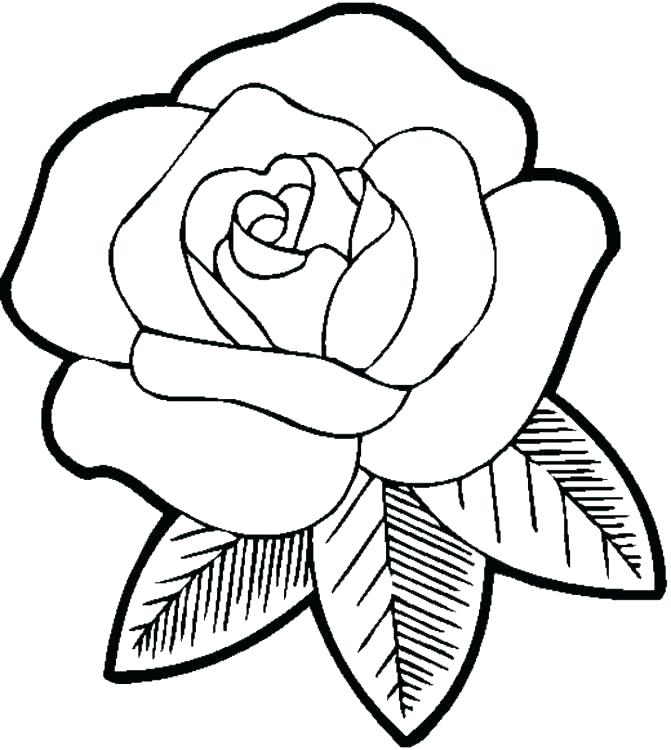 Hawaiian Flower Coloring Pages Flowers Coloring Pages Flower 671x750 Hawaiian Flower Coloring Pages Flowers Coloring Pages Flower