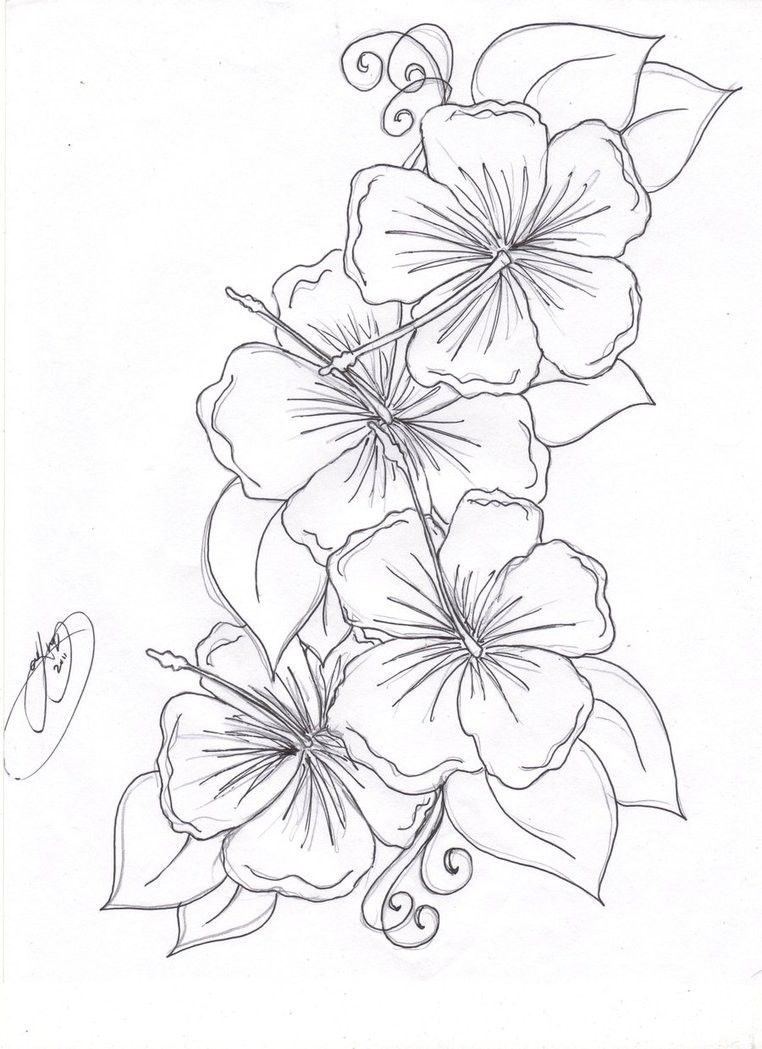 Beautiful Flower Coloring Pages Free Hibiscus Flower Coloring 762x1049 Beautiful Flower Coloring Pages Free Hibiscus Flower Coloring