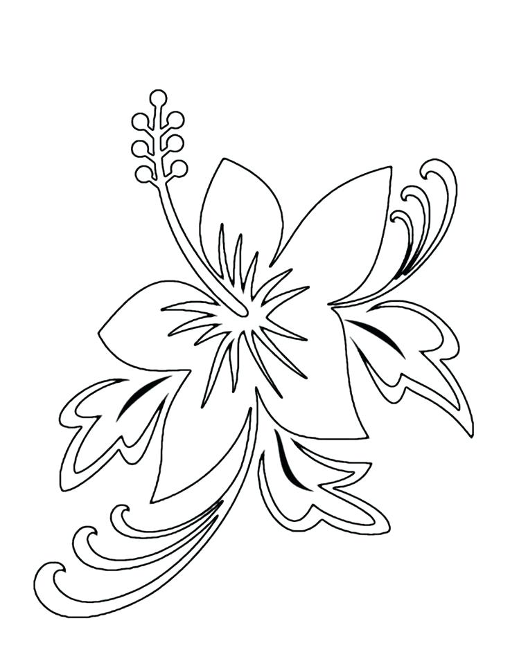 Unique Hawaiian Flowers Coloring Pages And Flower Coloring Pages 736x952 Unique Hawaiian Flowers Coloring Pages And Flower Coloring Pages