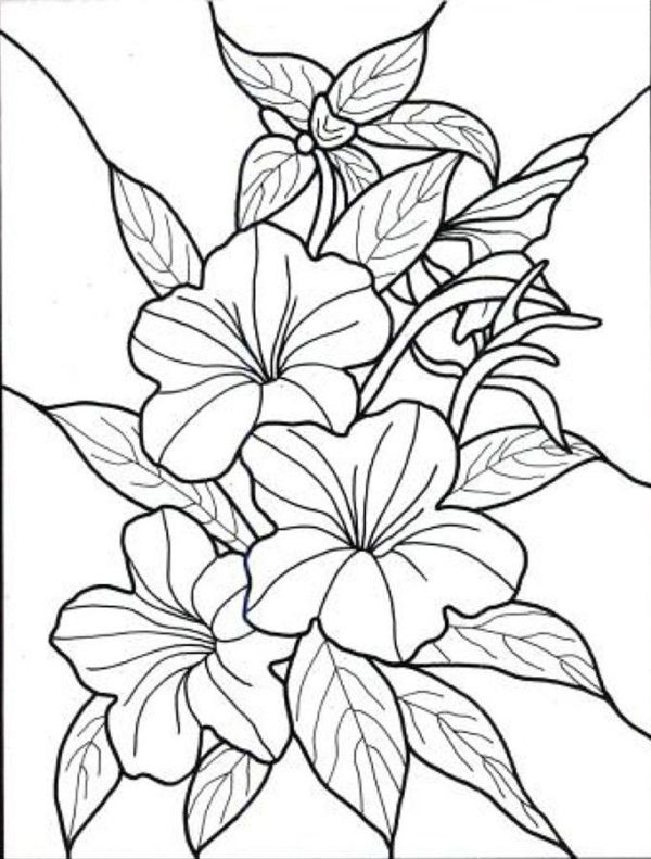 Exotic Flower Coloring Pages Hawaiian Flower Colouring Pages 600x791 Exotic Flower Coloring Pages Hawaiian Flower Colouring Pages