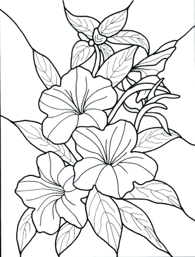 Flower Color Pages Cartoon Flower Coloring Page Coloring Pages 682x900 Flower Color Pages Cartoon Flower Coloring Page Coloring Pages