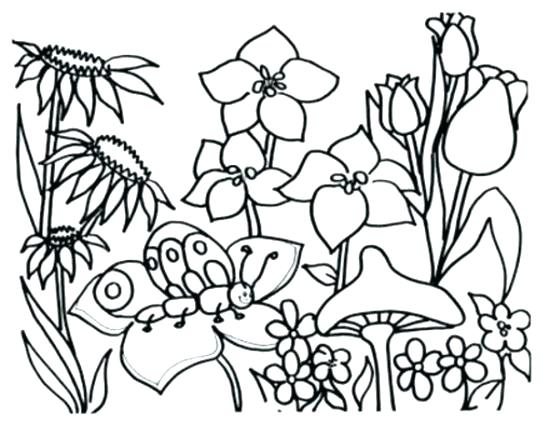 Free Printable Hawaiian Flowers Flowers Coloring Page Flower 550x425 Free Printable Hawaiian Flowers Flowers Coloring Page Flower