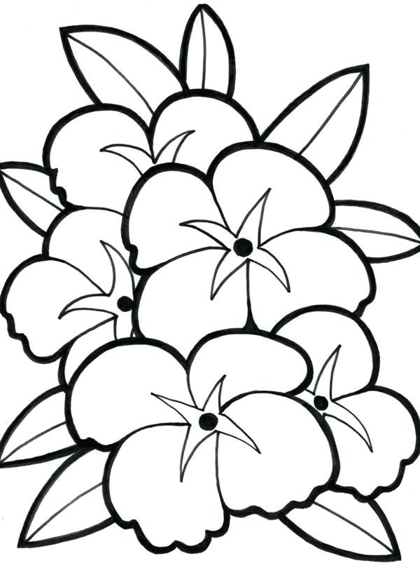 Hawaiian Flower Coloring Pages Click To See Printable Version 600x803 Hawaiian Flower Coloring Pages Click To See Printable Version
